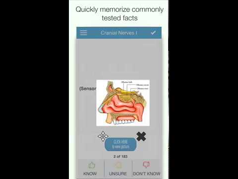ADAT Anatomy Cram Cards