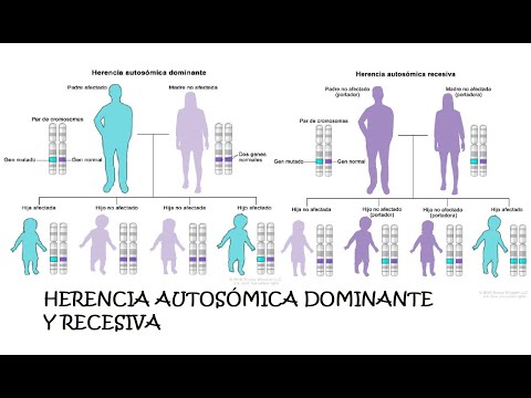 Herencia Autosómica Dominante y Recesiva