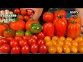ASMR MASSIVE EATING TOMATOES PLATTER 먹방 Real Sounds