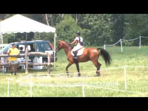 Susan Runco "Coast Guard" MDHT at Loch Moy XC/T 7/12/2014
