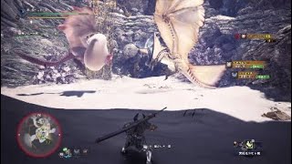 パオウルムー  VS  レイギエナ　(縄張り争い)