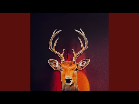 Jeg Tæmmer Den Store Fugl