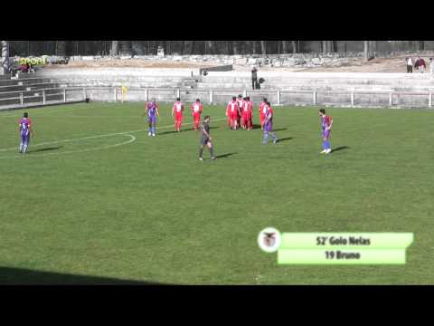 Nelas 1 0 Canas de Senhorim