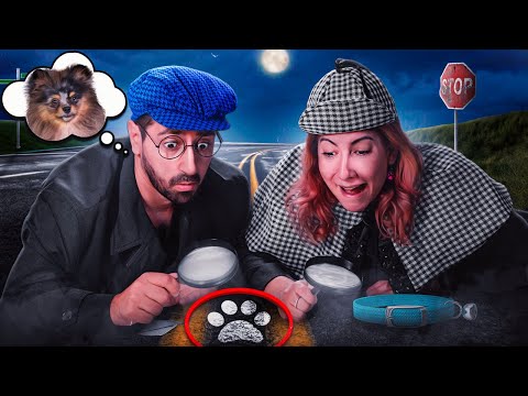 NOSSO CACHORRO SUMIU *Shirlock Gomes*