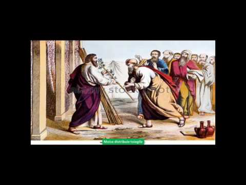 Capitolul 17 Numerii Vechiul Testament