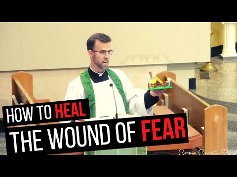 How to HEAL the Wound of FEAR | Homily for 6th Sunday (Year A)