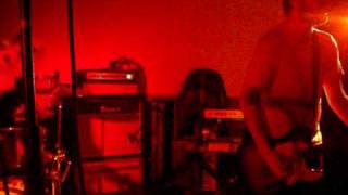 And We All Return To Our Roots - The Forecast