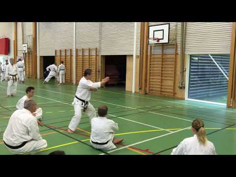 Ending of kata Gojushiho-sho by Kagawa-shihan #karate #jks #日本空手松涛連盟 #kata #gojushihosho