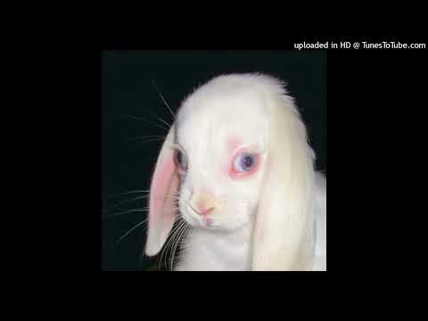 [free] experimental x graveyard x witch house x dark type beat - maslov