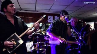 Swamp Train - Little Red Rooster