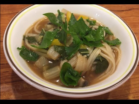 Bok Choy Noodle Soup || Homestead Seed