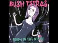 Bush Tetras - You Can't Be Funky