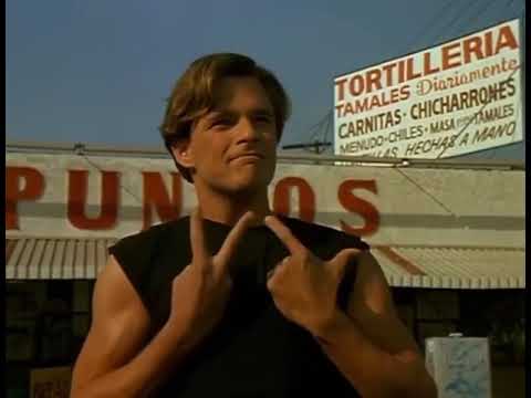 ￼ El Gallo Negro 👺￼