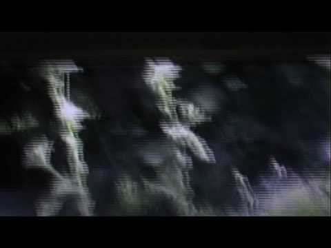 House inAction (doc video art, 2008)