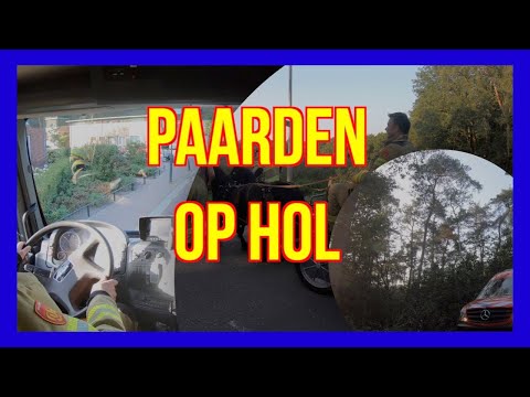 Paard op Hol  VOLUNTEERS DUTCHFIREFIGHTERS -  BRANDWEER LUNTEREN -