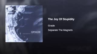 The Joy Of Stupidity Music Video