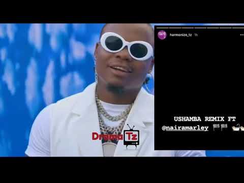 harmonize ft nairamarley ushamba remix h264 64979