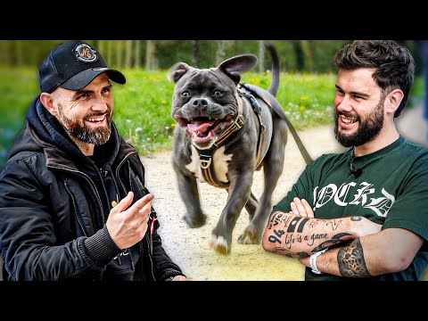 How to have a happy puppy? (feat. @LeBouseuh)