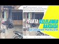 Fakta Kelelawar Mahkota Emas Raksasa Seukuran Manusia
