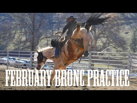 Bronc Riding Practice before Super Bowl Sunday