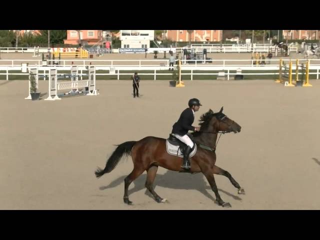 Mother of this frozen embryo is the CSI 1.45m jumping mare Shakira de Kreisker with rider Lorenzo Toscano.