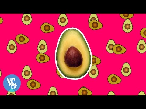 Avocado | gunnarolla ft. Meher Pavri