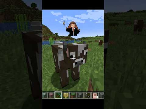 gmr - Minecraft: magic potion for transform