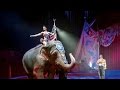 Ringling Bros To End Its Elephant Circus Acts