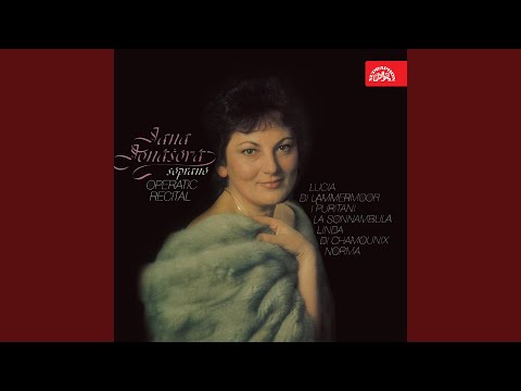 La Sonnambula. Opera - Act 2: A te diletto (Recitativo and Cavatina) (A te diletto)