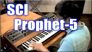 SCI Prophet5 Demo&Review [English Captions]