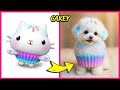 Gabby S Dollhouse Characters As Dogs Guess The Voice Quiz Gabby DJ Catnip Pandy Paws