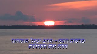 וירא את העגלות - פרשת ויגש - הרב יגאל הושיאר