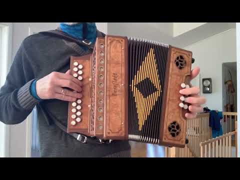 Nett so han Arild, polka av Arve Bjørn Røneid