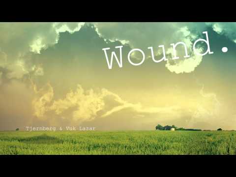 Tjernberg - Wound ft. Vuk Lazar