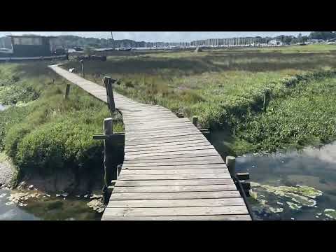 Dutch Barge Steilsteven  - Boatshed - Boat Ref#332364