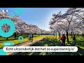 Het is echt lenteweer (en dat blijft het nog wel even)
