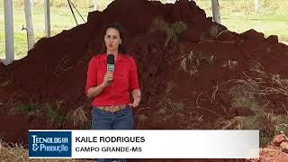 Miniatura do vídeo