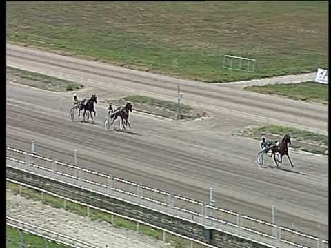 Trotto 10/06/2017 - 1ª prova di qualifica