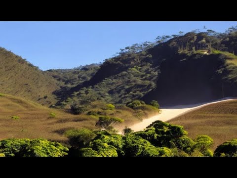 Madagascar Unveiled: Top 10 Must-Visit Spots