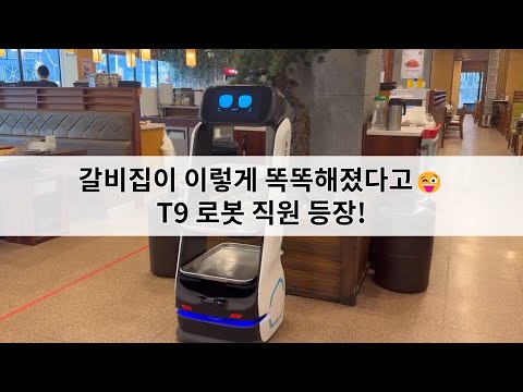DINERBOT T9 Pro