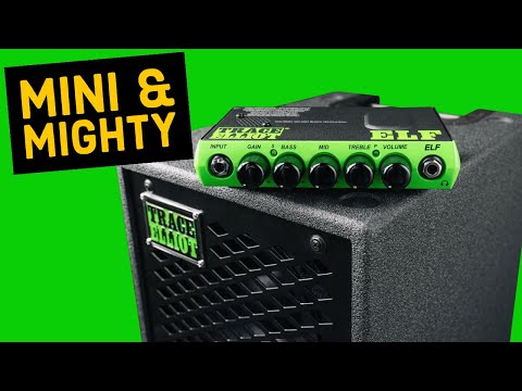 Trace Elliot ELF & 2x8 | Killer Tone