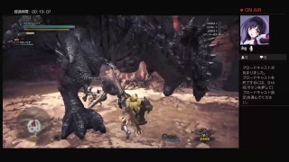 【MHW】今日も仲良し兄弟でモンハンワールド！［弟視点］