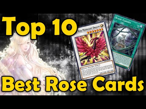 Top 10 Rose Cards in YuGiOh