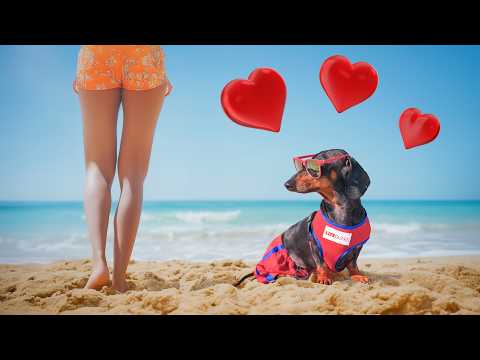 Dog Saves the Day at the Beach!