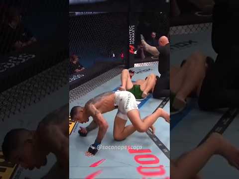 BOXE vs MUAY THAI 🔥✅🚬🥊  #foryou #ufc #mma #nocaute #knockout