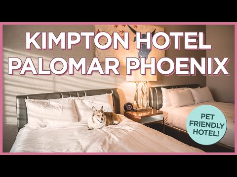 鳳凰城金普頓酒店--位於鳳凰城市中心的寵物友好型酒店。 (Kimpton Hotel Palomar Phoenix - Awesome Pet-Friendly Hotel in the Heart of Downtown Phoenix)