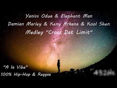 [Yaniss Odua & Elephant Man & Damian Marley & Keny Arkana & Kool Shen]   [Cross dat Limit] 432 Hertz