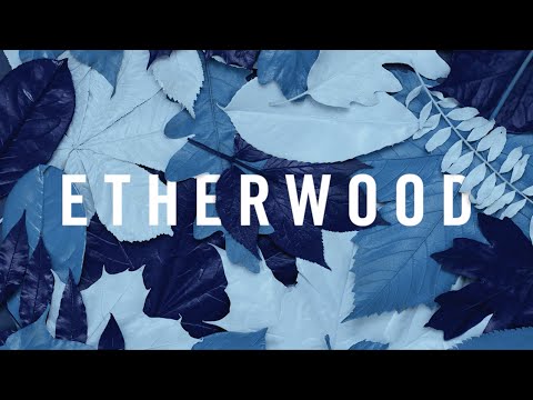 Etherwood - Light My Way Home (feat. Eva Lazarus)