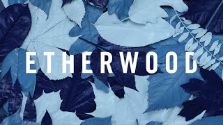 Etherwood - Light My Way Home (feat. Eva Lazarus)