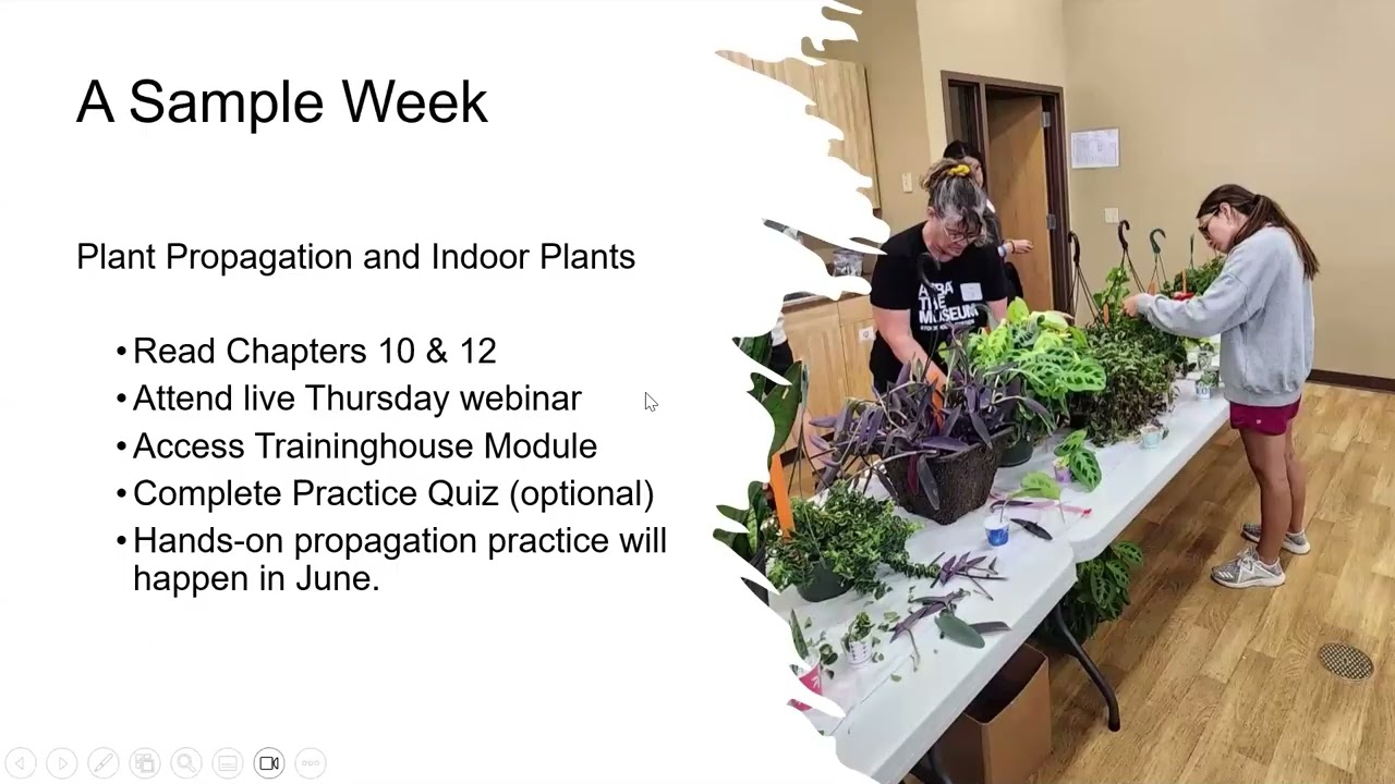 2026 Garden Hour February 3: Off-Season Garden Hour - Master Gardeners; Indoor Seed Starting
